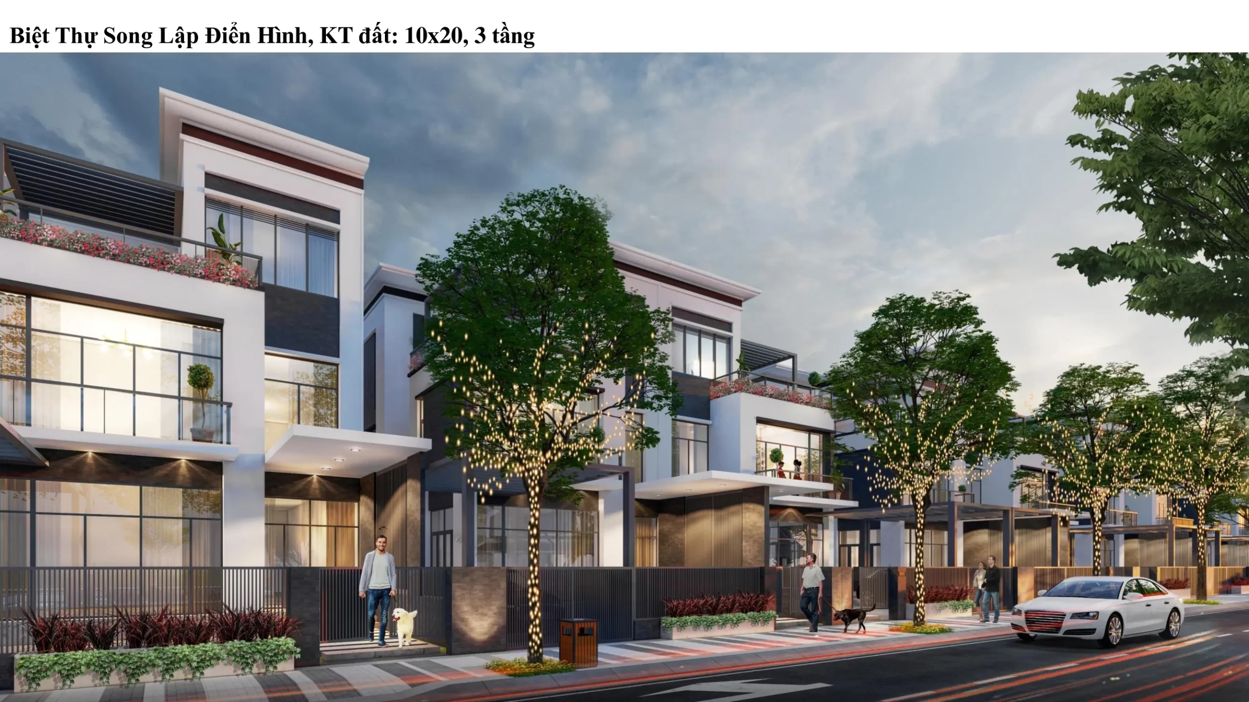 t&t long hậu 
